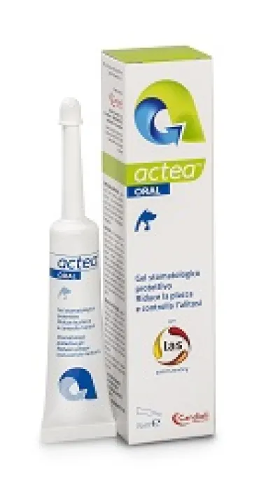 ACTEA ORAL GEL STOMATOLOGICO 15 ML