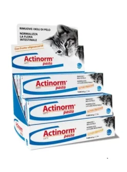 ACTINORM PASTA GATTI 65 GRAMMI