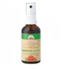 AMBIENTE PURITY SPRAY AMBIENTE 50 ML