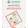 Antalgea