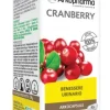 ARKOCAPSULE CRANBERRY 45 CAPSULE