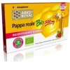 ARKOROYAL PAPPA REALE BIO 500 MG 10 UNITA'
