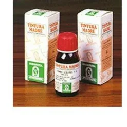 ARTIGLIO DEL DIAVOLO 35 TINTURA MADRE 50 ML