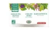 ARTIGLIO DIAVOLO BIO 300ML