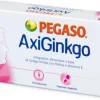 AXIGINKGO 60 CAPSULE