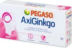 AXIGINKGO 60 CAPSULE