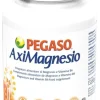 AXIMAGNESIO 100 COMPRESSE