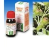 BARDANA 50 ML TINTURA MADRE