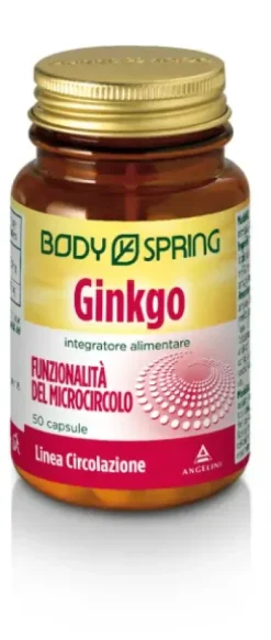 Body Spring Ginkgo