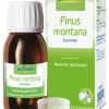 Boiron Pinus Montana Integratore mg 60 ml