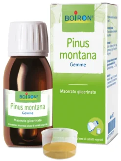 Boiron Pinus Montana Integratore mg 60 ml