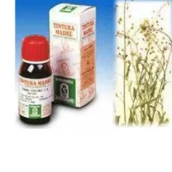 BORSA PASTORE 4 50 ML TINTURA MADRE