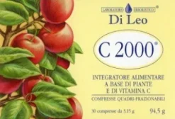 C 2000