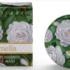 CAMELIA CREMA FONDENTE MANI 25ML