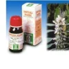 CARDIACA 16 50 ML TINTURA MADRE