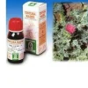 CARDO MARIANO 6 50 ML TINTURA MADRE