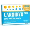 Carnidyn Fast Magnesio e Potassio Integratore 12 bustine