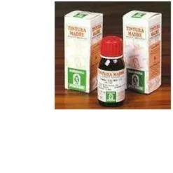 CASTANO INDIA 52 50 ML TINTURA MADRE