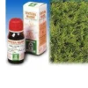 CIPRESSO 11 50 ML TINTURA MADRE