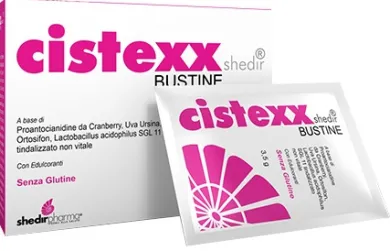 CISTEXX SHEDIR 14 BUSTINE