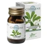 CISTILENE