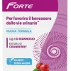 Cistiset Forte Integratore Alimentare 10 stick