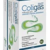 COLIGAS FAST TISANA 20 BUSTINE
