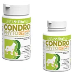 CONDROPHYTO 60 COMPRESSE 1G