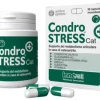 CONDROSTRESS + CAT 20 CAPSULE