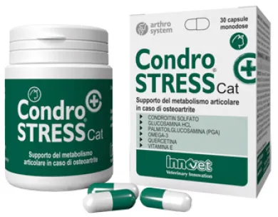 CONDROSTRESS + CAT 20 CAPSULE