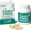 CONDROSTRESS+ 60 COMPRESSE MASTICABILI
