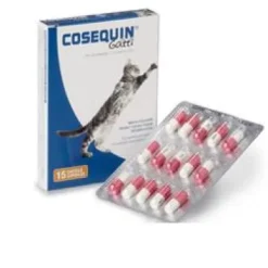 COSEQUIN GATTI 15 CAPSULE