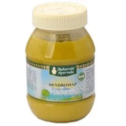 Dendromap Pasta 175 G