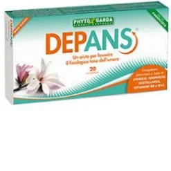 DEPANS