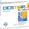 DESTIOR BRIDGE