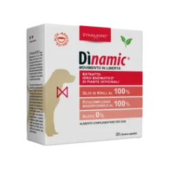 DINAMIC 20 BUSTINE 10 ML