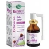 ECHINAID GOLA SPRAY ANALCOLICO
