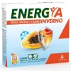 Energya Inverno Papaya Integratore Alimentare 14 buste