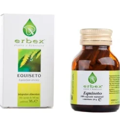 EQUISETO 100 CAPSULE 380 MG
