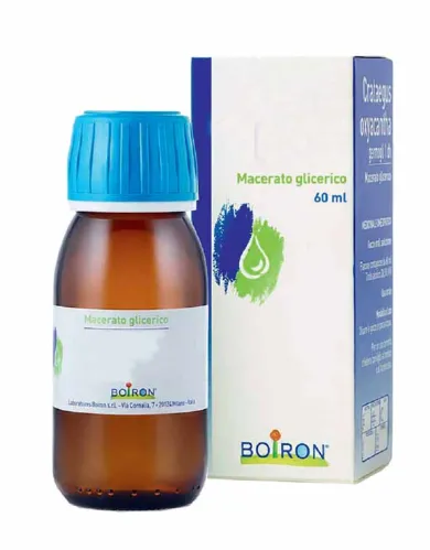 FICUS CARICA MACERATO GLICERICO