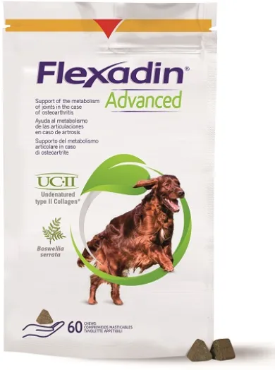 Flexadin Advance Cane per metabolismo articolare 60 tavolette