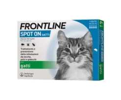 Frontline spot on gatti 4 pipette 0,5 ml