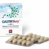 GASTROKEY