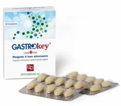 GASTROKEY