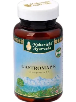 GASTROMAP