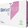 Ginfast Plus Integratore Alimentare 20 bustine