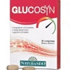 GLUCOSYN