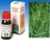 GRAMIGNA 37 50 ML TINTURA MADRE