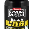 GYMLINE MUSCLE BCAA 4:1:1