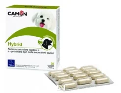 HYBRID 30 COMPRESSE